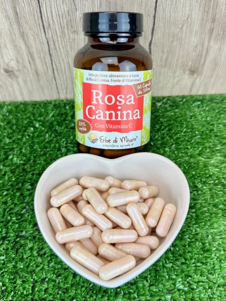 Rosehip food supplement capsules