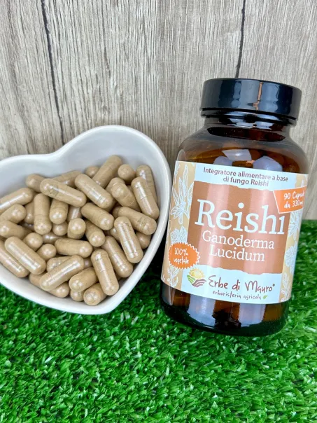 Complément alimentaire Reishi (Ganoderma lucidum), en gélules