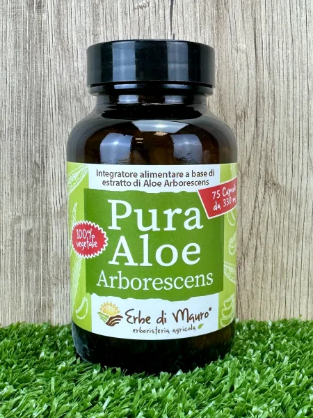 Aloe Arborescens pur, complément alimentaire en capsules