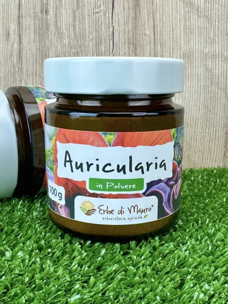 Auricularia auricula-judae (Jelly ear) powder 2