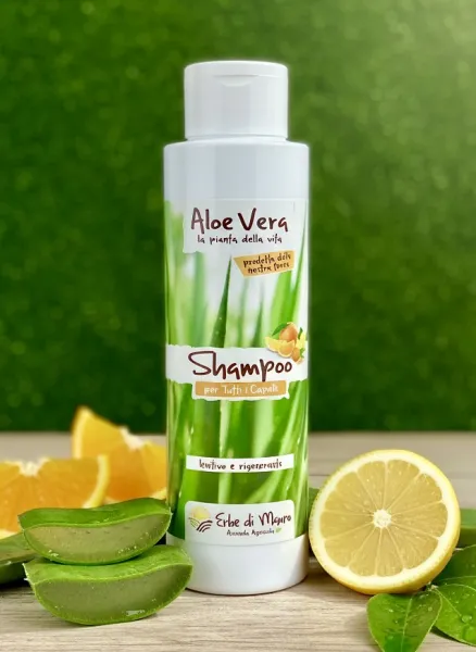 Shampooing à l'Aloe Vera pour tous les Cheveux 2