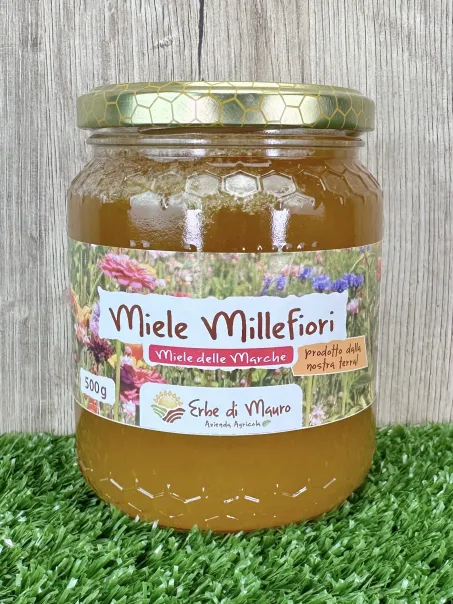 Wildflower honey, not pasteurized 500g