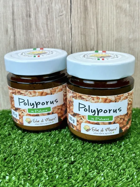 Polyporus umbellatus powder 2