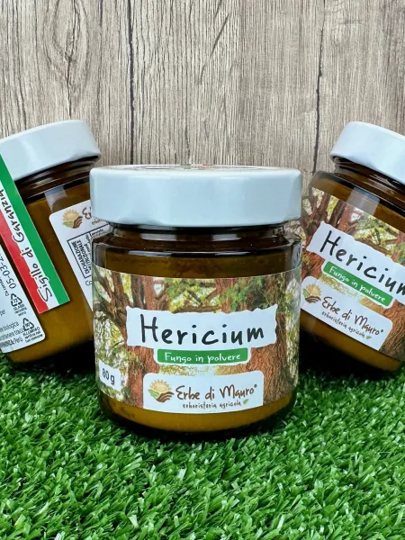 Lions Mane en Poudre (Hericium erinaceus) 2