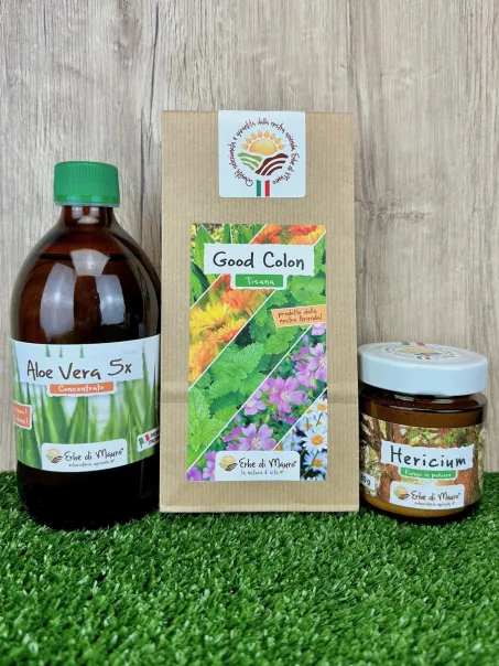 Pacchetto Intestino felice, con aloe vera 5x, tisana good colon e fungo hericium in polvere