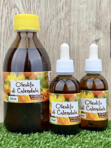 Olio di Elicriso, ottenuto tramite macerazione (Oleolito Elicriso) 2