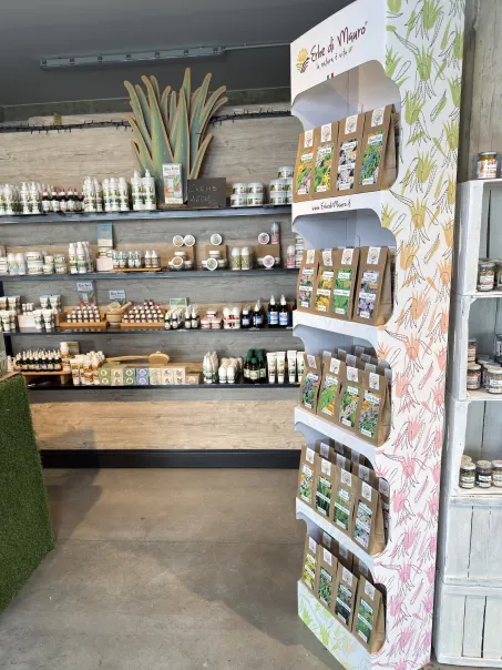 Espositore da terra in cartone per Tisane e Infusi