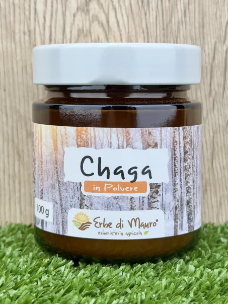 Chaga powder 100-500g