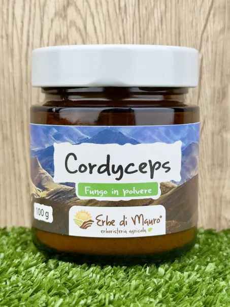 Cordyceps sinensis, fungo in polvere da 100g o 500g, superfood Erbe di Mauro