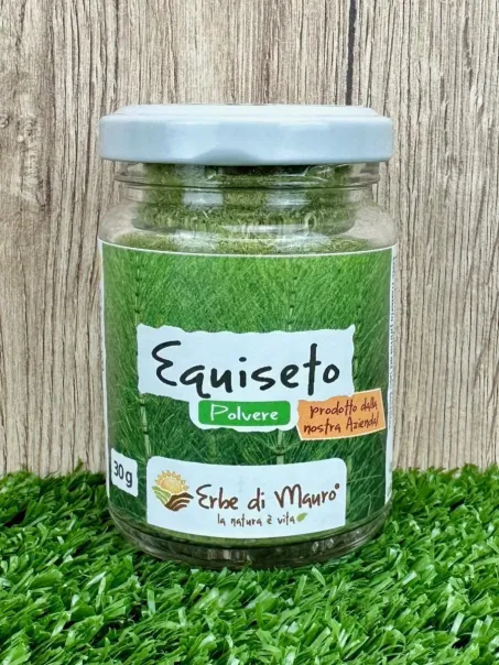 equiseto polvere