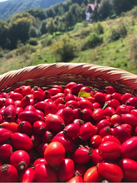 Rose Hip berries, Herbal tea 50g