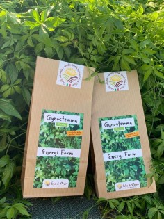 Gynostemma pentaphyllum, Herbal tea 2