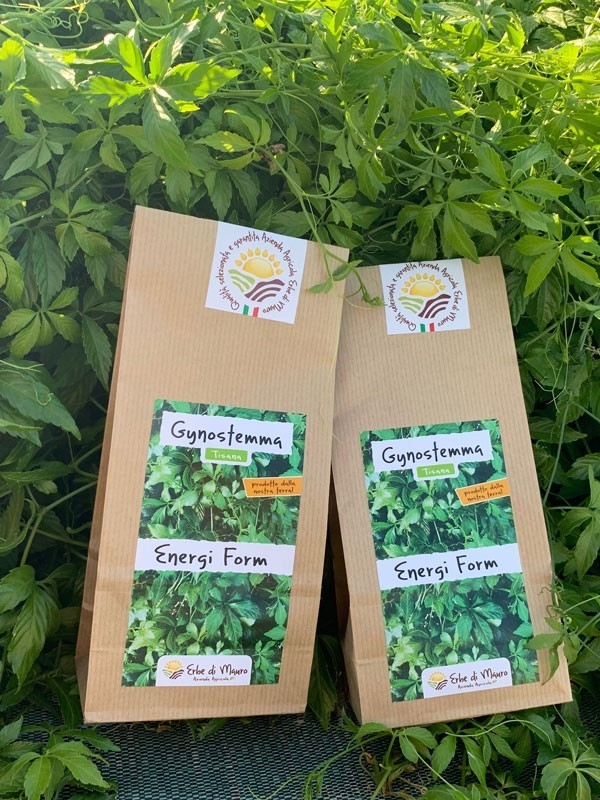 Gynostemma pentaphyllum, Tisana 60g-Tisane difese immun.