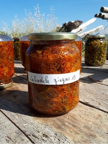 Oleolito di Calendula, 50-250 ml-Oleoliti ed oli essenziali