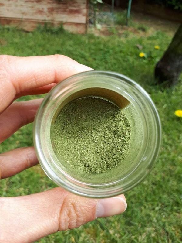 Equiseto in Polvere, Spezia ed Infuso 30-500g, 1kg-Spezie