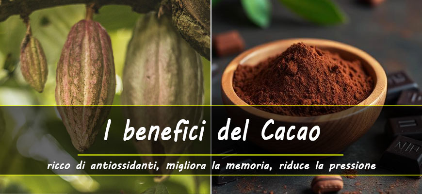 benefici cacao