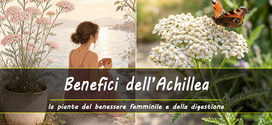 benefici achillea millefoglie