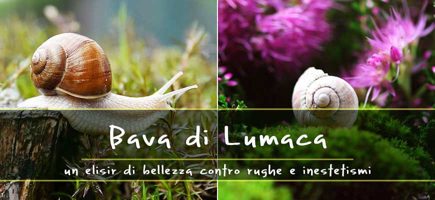 benefici bava di lumaca