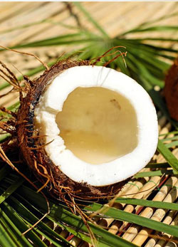 coconut candida stop