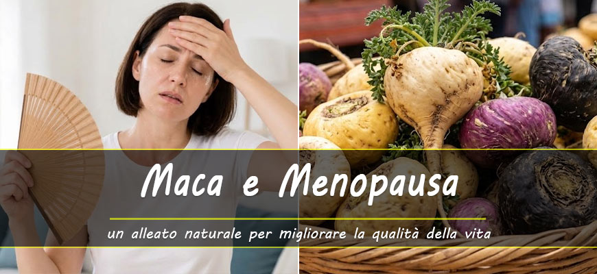 maca menopausa