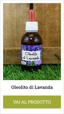 lavender oleolito