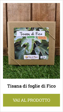 fig leaf tea