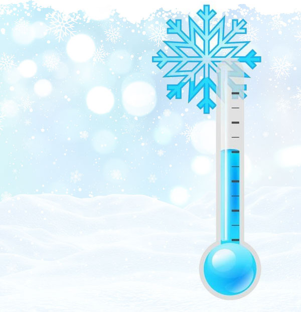 aloe estrazione a freddo