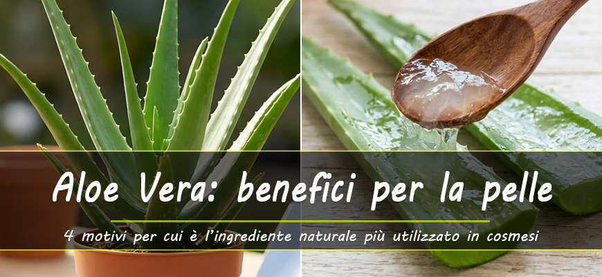 aloe vera benefici pelle
