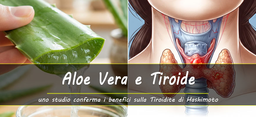 aloe vera tiroide