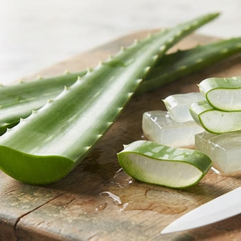 foglie aloe vera e gel