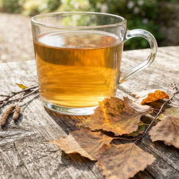 tisana foglie betulla