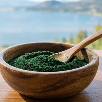 klamath alga di lago