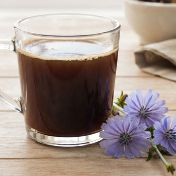 caffe di cicoria