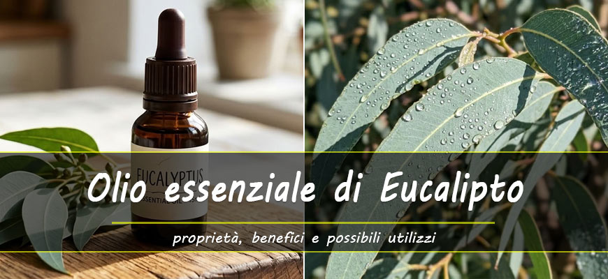proprietà olio essenziale eucalipto