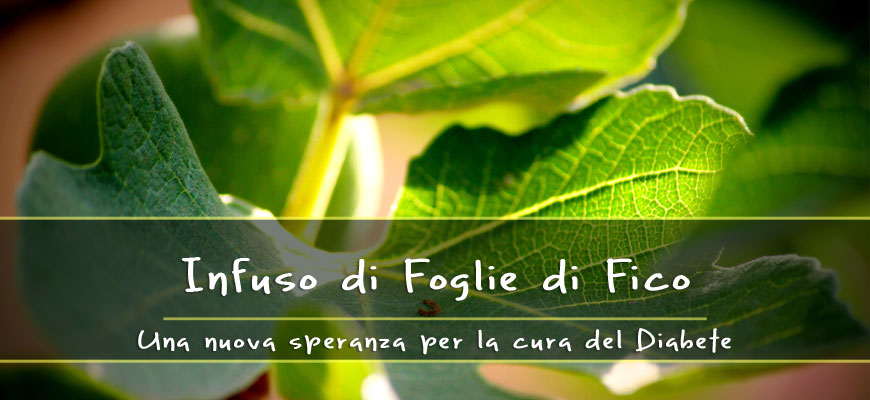 foglie di fico