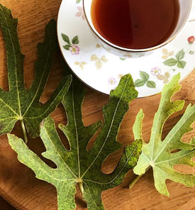 infuso foglie di fico