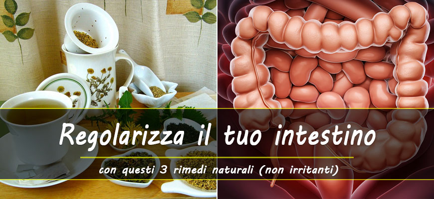 rimedi naturali regolarizzare intestino