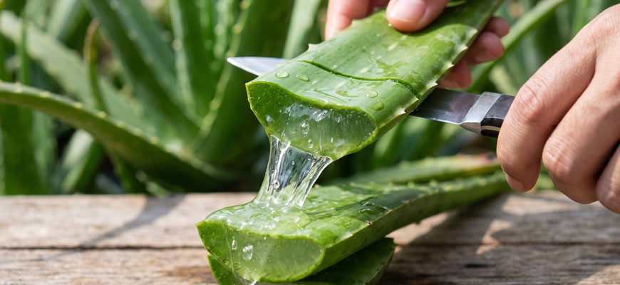 gel aloe vera irritazioni cutanee