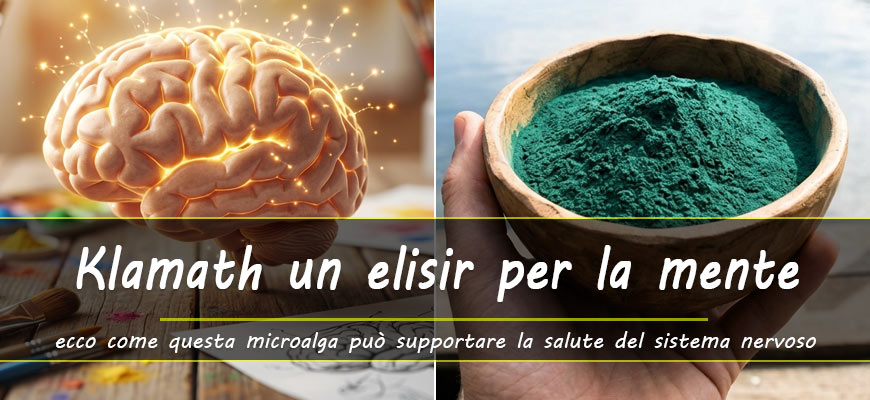 alga klamath salute cervello