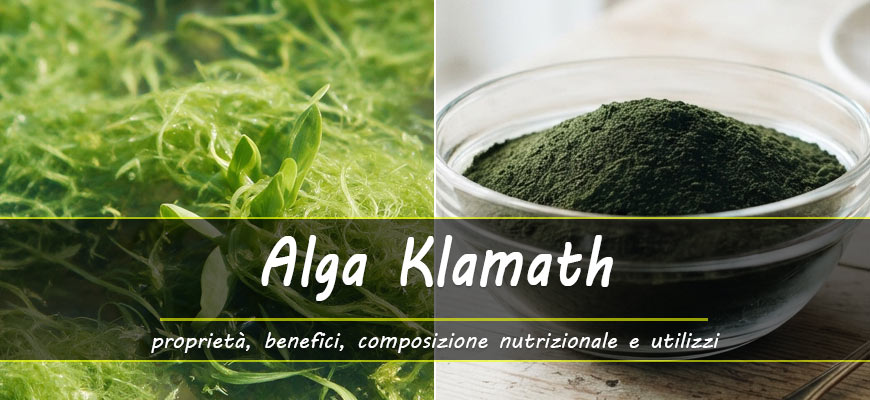 benefici alga klamath