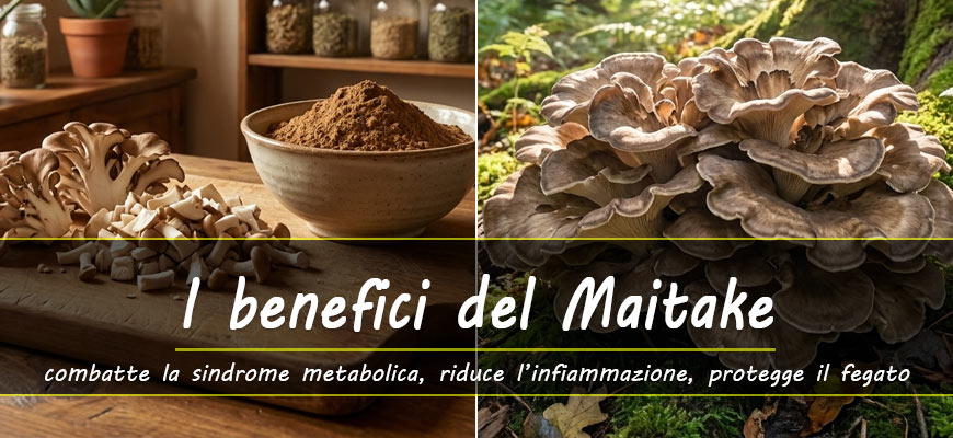 maitake benefici