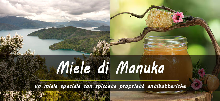 benefici miele di manuka