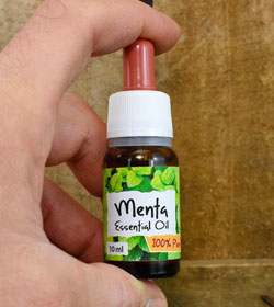 menta olio essenziale