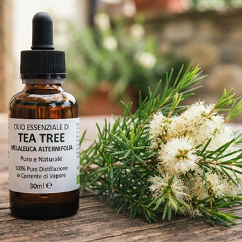 tea tree antifungino