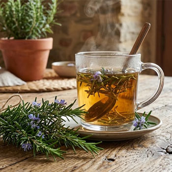 rosmarino infuso