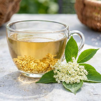 infuso sambuco