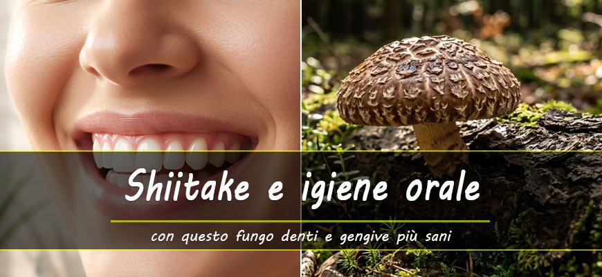 shiitake igiene orale denti gengive