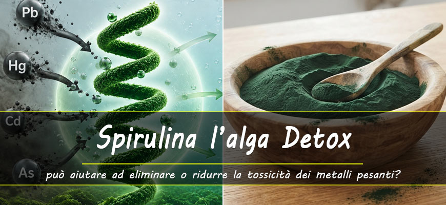 spirulina detox metalli pesanti