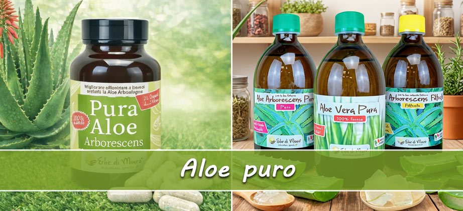 aloe pura
