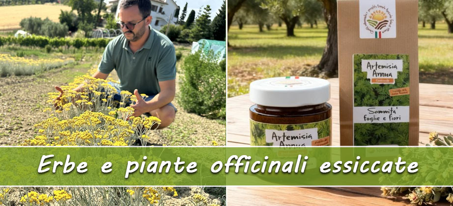 erbe officinali italiane essiccate